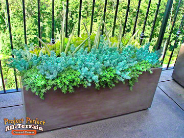 All Terain GroundCover Container2016350